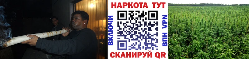 Купить закладку A-PVP  МЕФ  Амфетамин  Галлюциногенные грибы  ГАШИШ  КОКАИН  Балашов