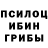 Псилоцибиновые грибы прущие грибы LINDSAY CATHCART