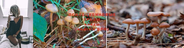 кокаин Зеленокумск