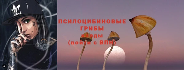 apvp Зеленодольск