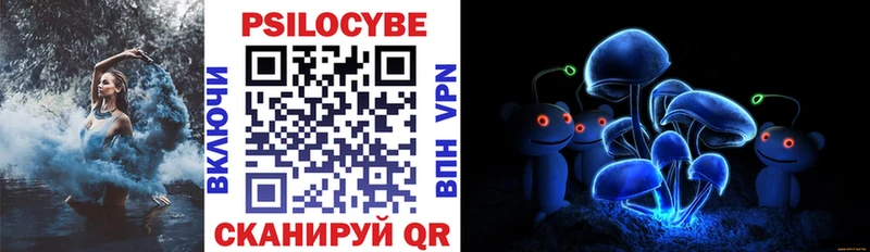 Купить где  Балашов  Псилоцибиновые грибы Psilocybe 
